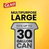 imageGlad Large 30 Gallon Trash Bags Clorox Mountain Air Heavy Duty Garbage Bags Forceflex with Drawstring 50 Count Packaging May VaryPineSol